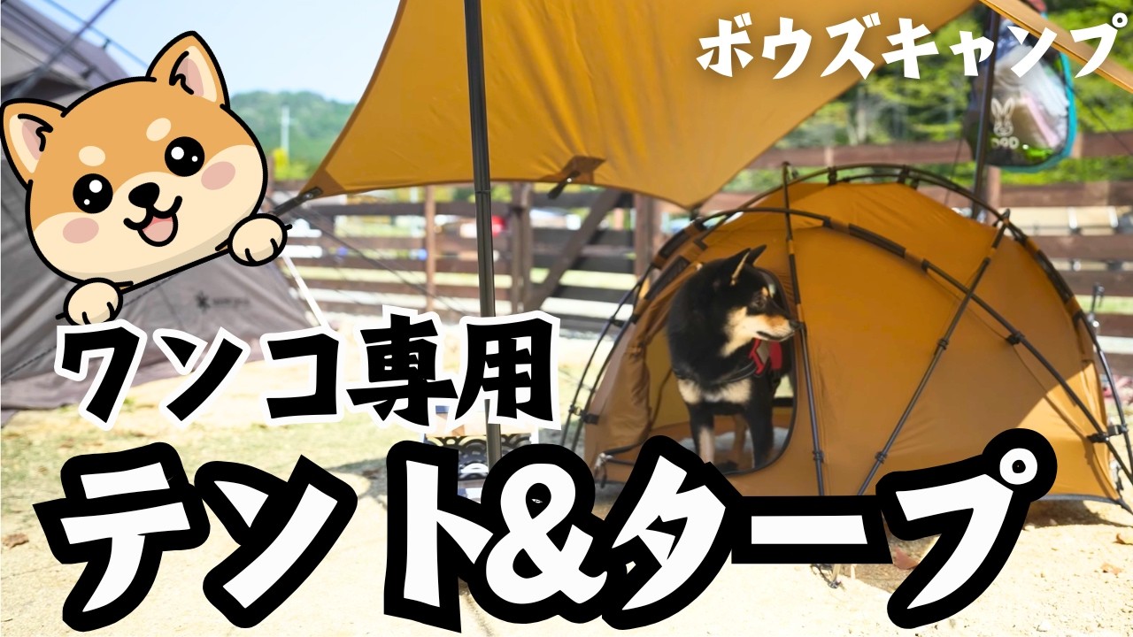 Dog Camping] A Must-See for Dog-Friendly Campers! Dog Tents and