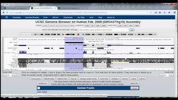 4. UCSC Genome Browser Tutorial: table browser