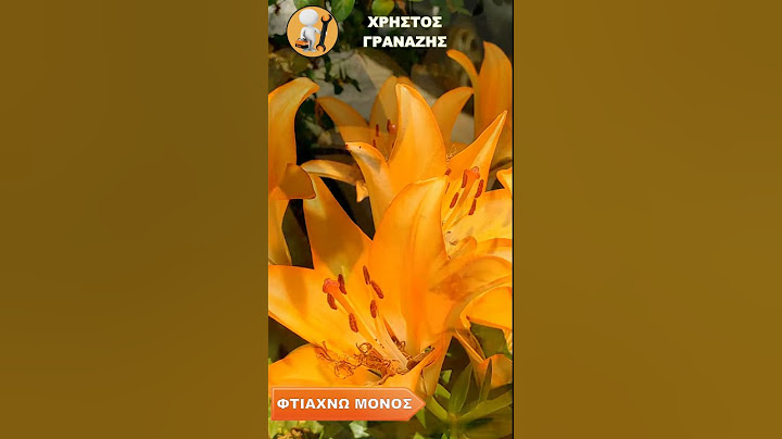 𝜰𝝅έ𝝆𝝄𝝌𝝄𝜾 𝜥𝝆ί𝝂𝝄𝜾 𝜦ί𝝀𝜾𝝄𝝊𝝁  #Lilium #Λίλιουμ #γραναζης #κηπος #λουλουδια #γλαστρα #μπαλκονι #garden