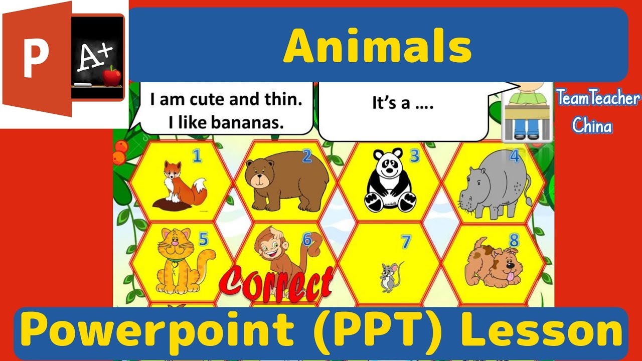 animals powerpoint presentation for kindergarten