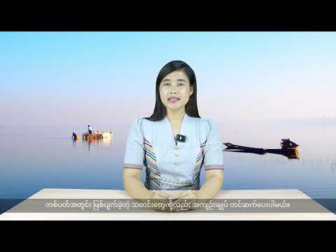 (ကယား) တိုင်းရင်းသားဘာသာ သတင်းအစီအစဉ် - DVB