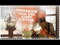 Make a Terrarium from Old Light Fixture - DIY