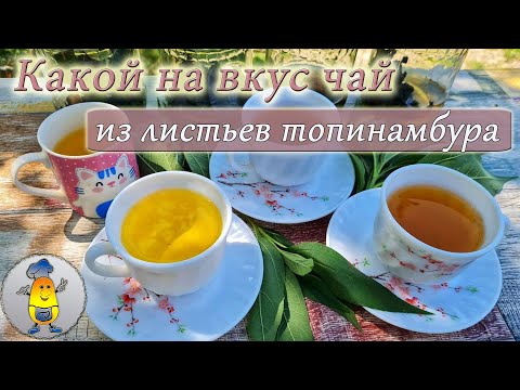 Чай из топинамбура - дегустация | Какой вкус, цвет и аромат чая из листьев топинамбура