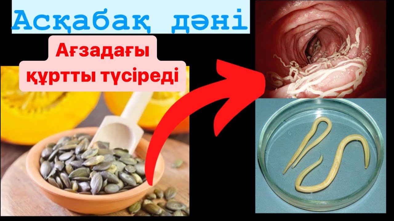 Орыс бисексуалы желіде