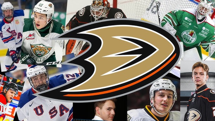Anaheim Ducks on X: Our Mighty past meets the future