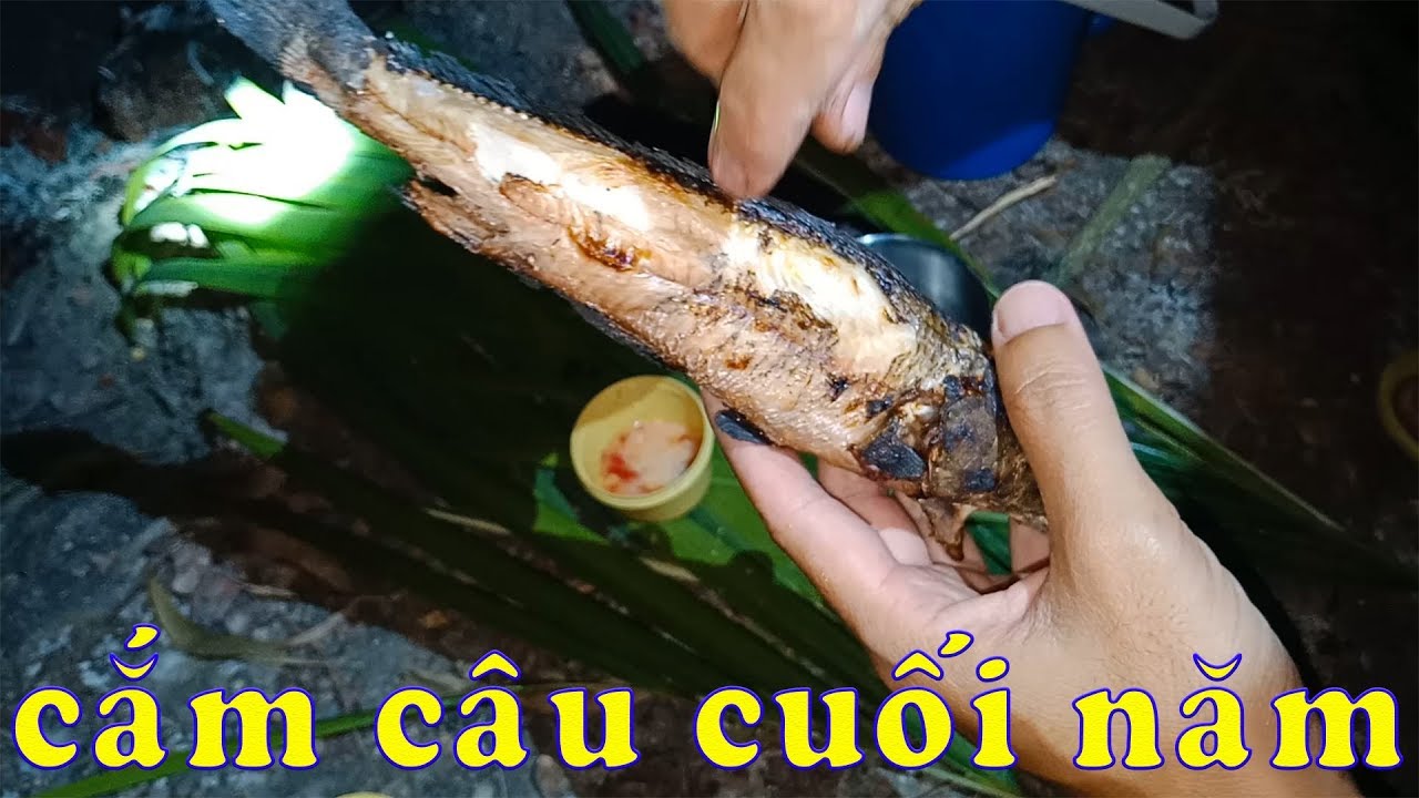 Video YouTube