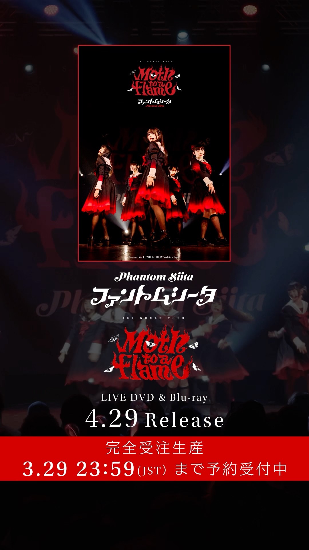 1ST WORLD TOUR “Moth to a flame”LIVE Blu-ray&DVD🦋₊˚✧ 予約受付は3