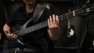 Video thumbnail of "Down the wire-Spyro Gyra(bass cover)"