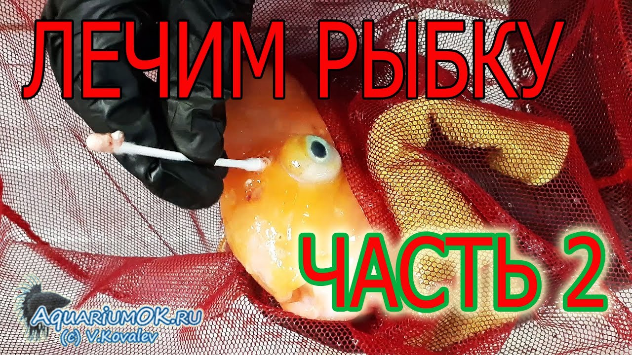 Профилактика Анальных Дыр Профилактика Анальных Дыр