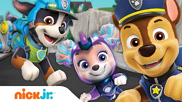 PAW Patrol All Paws on Deck to Stop Codi! w/ Chase, Rex, Coral & MORE Pups | Nick Jr.