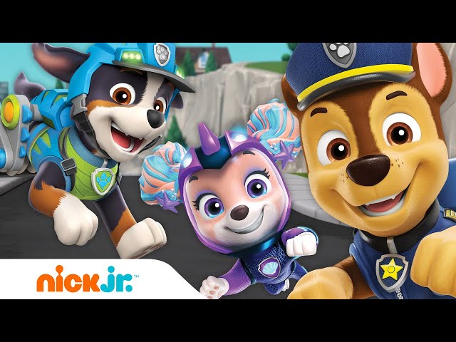 PAW Patrol - All Paws on Deck - Opposites