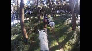 Hack with Hampton Lodge   Canter