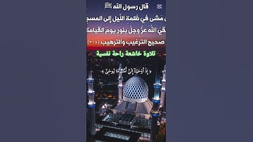 تلاوة خاشعة راحة نفسية #حور #اكسبلور #المصحف #muslimah #دويتو #لايك #تيك_توك ##dubai #muslim #duet