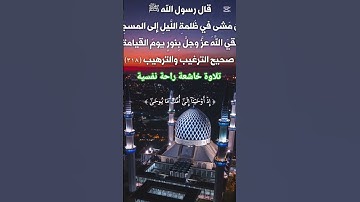 تلاوة خاشعة راحة نفسية #حور #اكسبلور #المصحف #muslimah #دويتو #لايك #تيك_توك ##dubai #muslim #duet