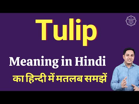 वीडियो: लिली फ्लावर ट्यूलिप क्या हैं - लिली फ्लावर ट्यूलिप किस्मों के बारे में जानें