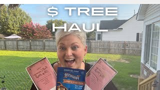 AMAZING FINDS DOLLAR TREE HAUL