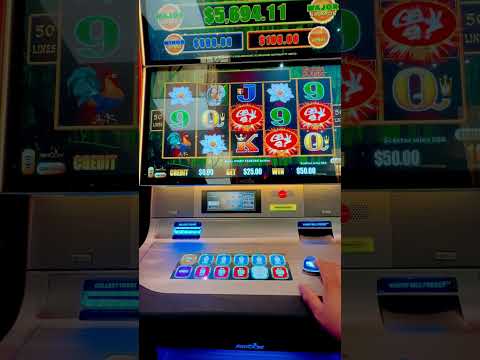 SIX SIX SIX 666 Slot WICKED SPINS ($25 BET Spin) | Bet365 Casino App 🎰