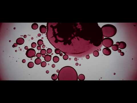 12EEK Monkey - Kanalisatsioon (official video)