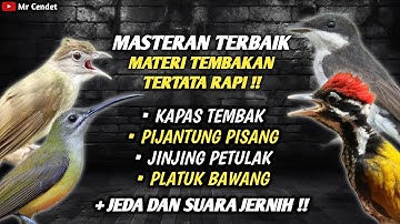 MASTERAN TERBAIK..!!! TEMBAKAN KAPAS TEMBAK, PIJANTUNG PISANG, JINJING PETULAK, DAN PLATUK BAWANG !!