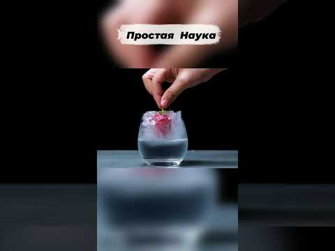 ПРОСТАЯ НАУКА№3 #science #facts #intresting #experience #home