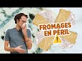 Ref:Uety7GGKo3U La mort du camembert      | va savoir #09