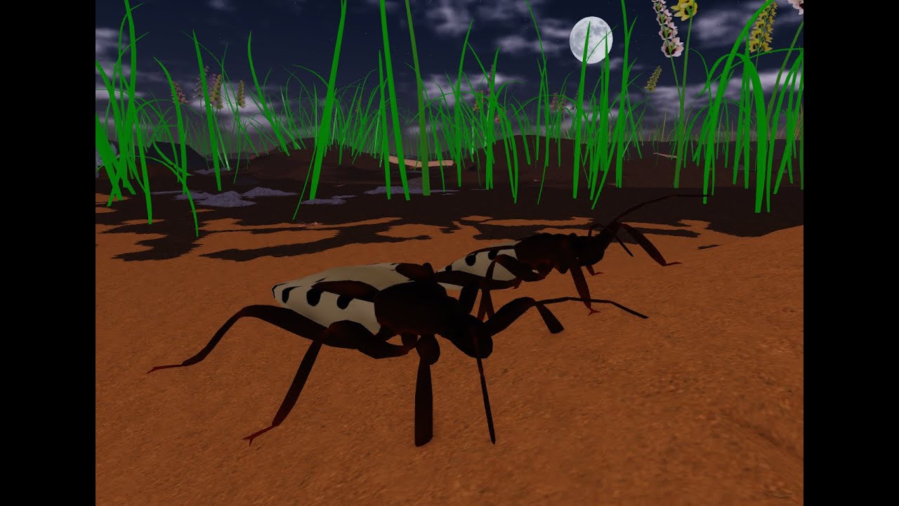 Kingdom of the termites (New Assassin Bug Update)