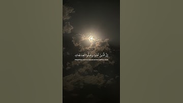 وكلهم آتيه يوم القيامة فردا | كروما قران شاشه سوداء - القارئ عبدالرحمن مسعد #quran #راحة_نفسية
