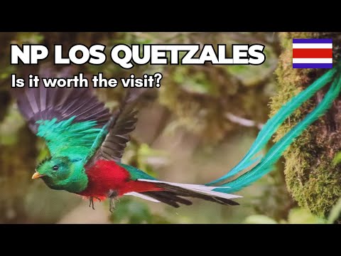 Vídeo: O Vale dos Quetzais na Costa Rica