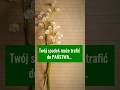 Twój spadek może trafić do PAŃSTWA! 😱#prawo #wiedza #edukacja #adwokat