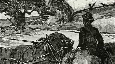 e 1-41 Video Lesson XLI: Frank and James White. - McGuffey