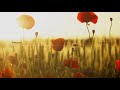 Dreamy  beautiful background piano music  by inodmusic