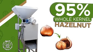 Industrial Hazelnut Nutcracker | High Efficiency & Automation