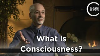 Stephen Braude - What is Consciousness?