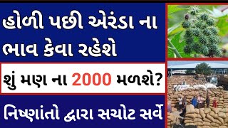 એરંડા ભાવ નો સર્વે | હોળી પછી એરંડા નો ભાવ | arenda bhav sarve | Rajkot marketing yard | Navi yojna screenshot 5