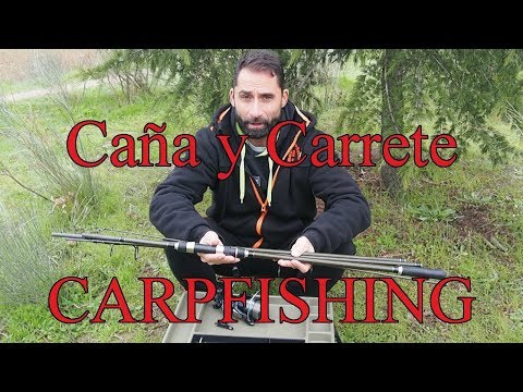 Video: Cómo Elegir Una Caña Para La Carpa