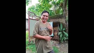 Funny and comedy shortvideo clips compilations #11.