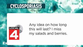 Cyclospora outbreak explained: Dr. McGeorge answers your questions about symptoms, risks, prevention