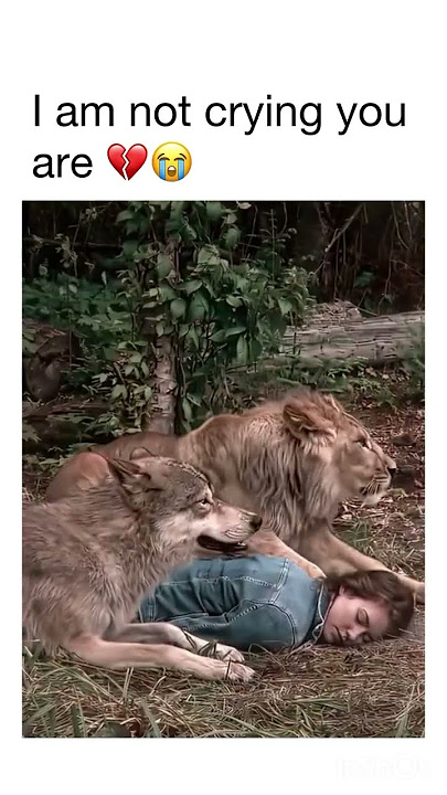 I’m too weak for this kind of movies 😭