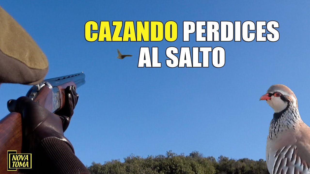 CAZANDO PERDICES AL SALTO