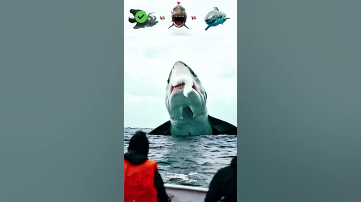 Leviathan vs Giant Shark vs Megalodon😲– Who Wins?
