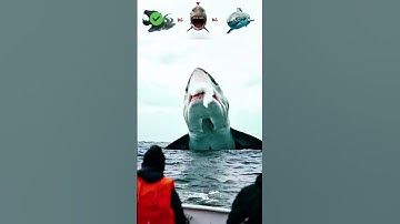 Leviathan vs Giant Shark vs Megalodon😲– Who Wins?