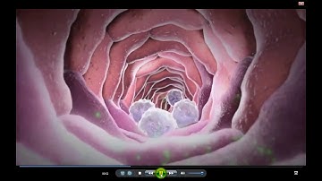 SỰ THỰC BÀO CỦA TẾ BÀO BẠCH CẦU