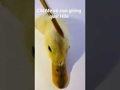 Video Một con vịt xoè ra hai cái cánh | Chị Mẹ vẽ con giống... - youtube