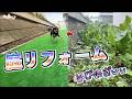【雑草だらけの庭】を整地して思いっきりペットを遊ばせてみたら可愛過ぎた!
