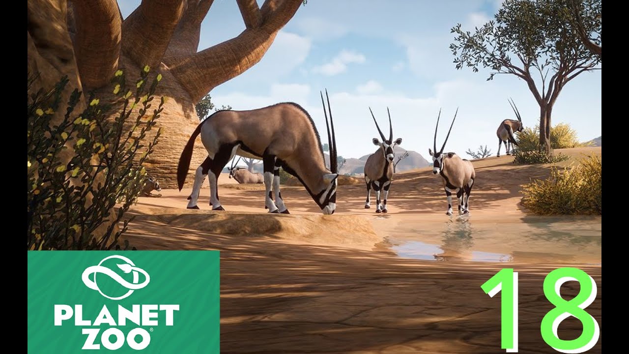 Gemsbok are Everywhere l Planet Zoo