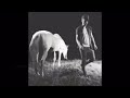 ZED k  NOiSES     Lyrics    الكلمات