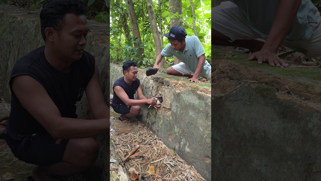 It turns out that this animal is very cute. 