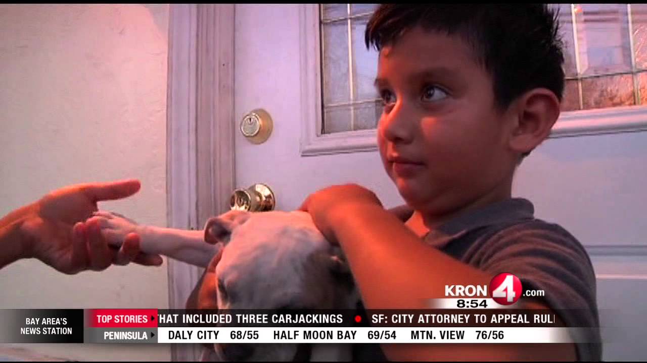Puppy Stolen During Home Burglary Found, Returned To Owner - YouTube
