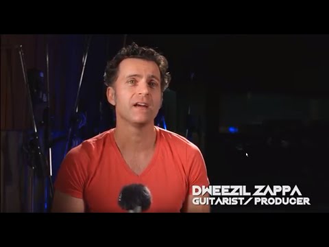 Dweezil Zappa — I'm Afraid Of Americans - Dweezil Zappa