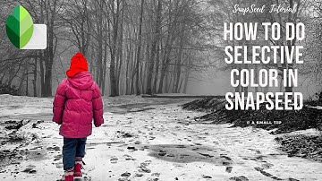 How to do Selective Color in SnapSeed | Tutorial